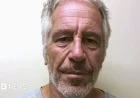 US Justice Department Delays Comprehensive Release of Epstein Files, Official Confirms