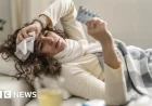 Understanding the Flu Surge This Winter