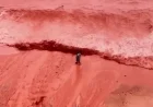 Heavy Rain Transforms Popular Tourist Beach Sea to Bright Red