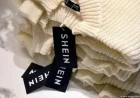 France Court Dismisses Request to Halt Shein Operations – DW – 12/19/2025