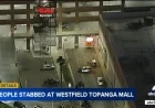Two Stabbed at Westfield Topanga Mall During Holiday Shopping Season