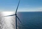 Trump Administration Halts Offshore Wind Projects Citing National Security Concerns