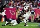 Cardinals Defeated by Falcons in Home Game Finale