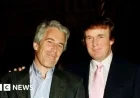 Impact of Epstein Files Release on MAGA Movement