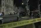 NYPD: Police Fatally Shoot Man Wielding Box Cutter in Family Dispute
