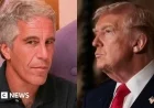 Trump Flew on Epstein’s Private Jet Eight Times, New Report Reveals