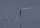 Trump Administration Halts Offshore Wind Projects, Citing National Security Concerns