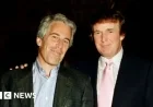 Prosecutor Reveals Trump Took More Flights on Epstein’s Plane Than Known