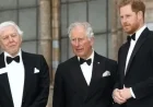Charles Saddened as William and Harry’s Rift Persists