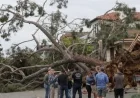 Falling Tree Kills San Diego Man in Third Storm-Related Death