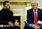 Zelensky to Meet Trump Sunday for Peace Deal Talks