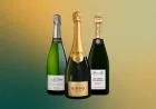 Top 9 Champagnes to Celebrate New Year’s Eve