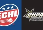 ECHL Official Site Launched