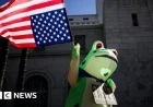 Frogs Evolve from Right-Wing Meme to Anti-ICE Protest Icon