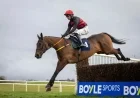 Affordable Fury and Sam Ewing Stun in Savills Chase, Defeating Galopin Des Champs
