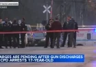 Chicago Crime: Teen Suspect’s Gun Fires in West Lawn Police Struggle