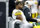 Steelers’ DK Metcalf Suspended Two Games for Fan Altercation vs. Lions