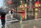 Environment Canada Issues Rainfall Warning for Toronto