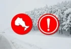 Major Winter Storm Hits Ontario, Causing Outages and Delays