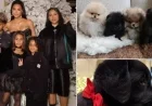 PETA Criticizes Kim Kardashian for Giving Puppy as a Gift