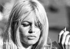 Brigitte Bardot: Explore the Iconic 1950s Screen Star’s Life in Photos