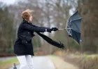 Wind Gusts Sweep DC Area, Dropping Temperatures Monday Evening