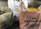 California’s Plastic Bag Ban: When Will Paper Replace Plastic in Stores?