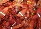 Lobsters Worth $400K Stolen from Massachusetts Warehouse