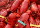 New England Heist: Thieves Steal $400K in Lobster, Oysters, and Crab
