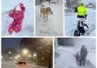 Captivating Photos Reveal Central New Yorkers’ Mastery in Managing Snowstorms