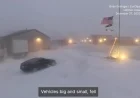 Midwest Battles Fierce Winds, Heavy Snow, and Vast Pileups
