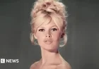 Brigitte Bardot: Blonde Icon Who Transformed French Cinema