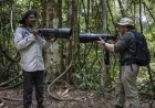Rob & Romesh Tackle the Jungle: Sky Max HD Air Date & Details