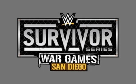 Masked Man’s Identity Uncovered in WWE Survivor Series