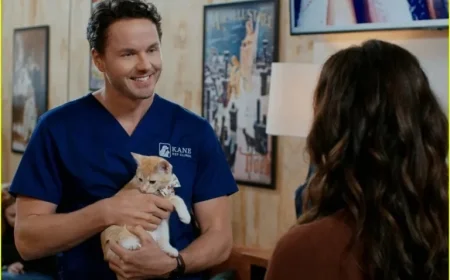 Erin Cahill & Paul Campbell Connect with 15 Cats on ‘Christmas at the Catnip Café’