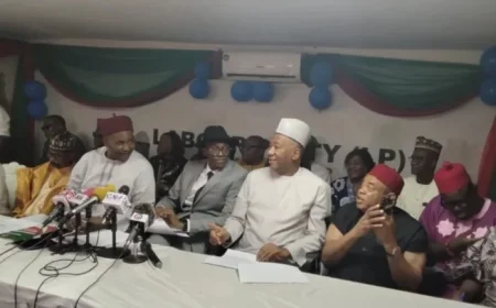 INEC, Baba-Ahmed Attend NEC Meeting Amid LP Crisis