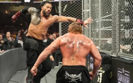 Triple H Compares Roman Reigns to Legendary Undertaker