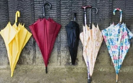 Mississippi Weather Forecast for Monday, December 1: What to Expect