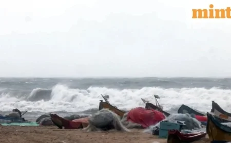 Cyclone Ditwah Closes Chennai Schools; IMD Issues Orange Alert for Tamil Nadu