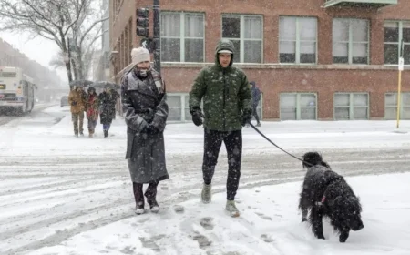 Chicago Residents Embrace Snowiest November Day on Record