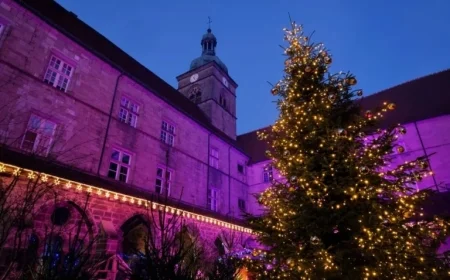 Discover Unique Christmas Markets in Franche-Comté 2025