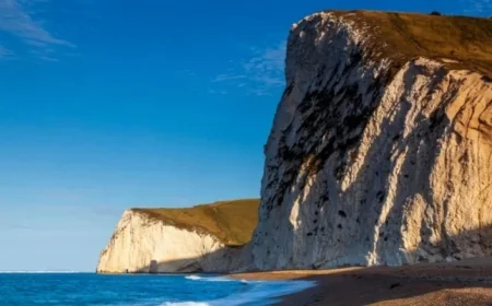 Dorset Council Transitions from SAP to Oracle in £14.2M Upgrade