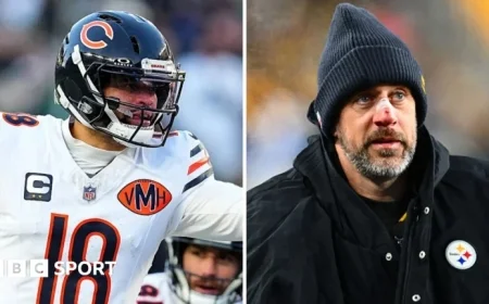 Panthers Shock Rams; Bears Dominate NFC in Week 13 NFL Results