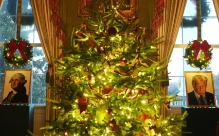 White House Holiday Tours Resume in Time for the Festive Season