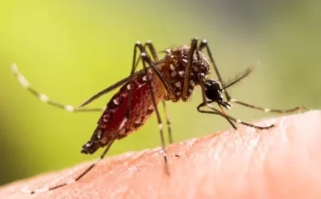 Cuba Travel Alert: Beware of Viruses Threatening Your Vacation