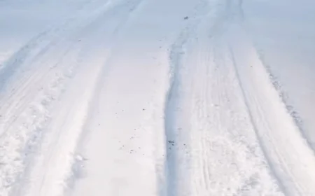 Winter Weather Alerts Issued for 15 Michigan Counties: 3-12 Inches Expected