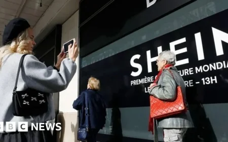 Investigate Shein, Temu for Allegedly Stealing US Designs