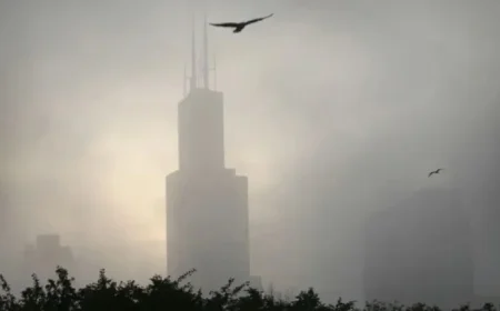 Freezing Fog in Chicago Causes Treacherous Morning Commute