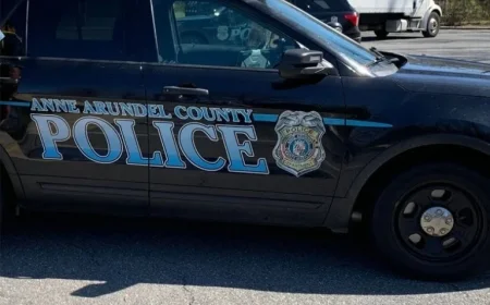 Suspect on Crutches Aids Group in Anne Arundel Car Theft, Police Report