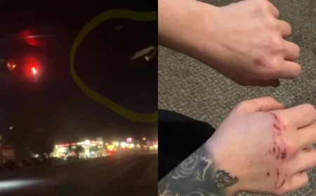 Experts Clarify Cedar City Helicopter Accident, One Injured